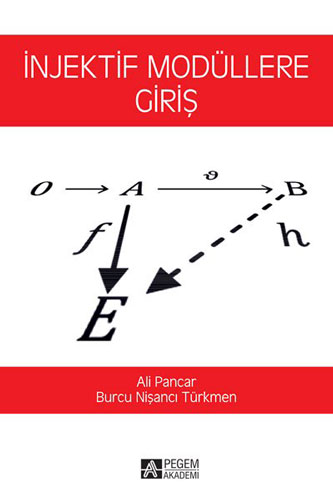 İnjektif Modüllere Giriş