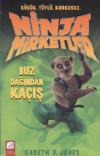 Ninja Mirketler - Buz Dağından Kaçış