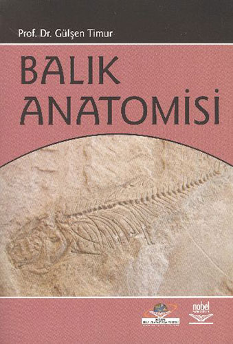 Balık Anatomisi