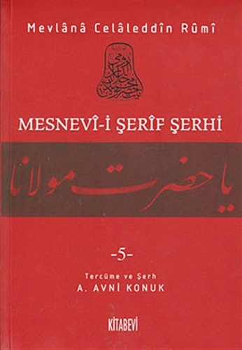 Mesnevi-i Şerif Şerhi Cilt: 5