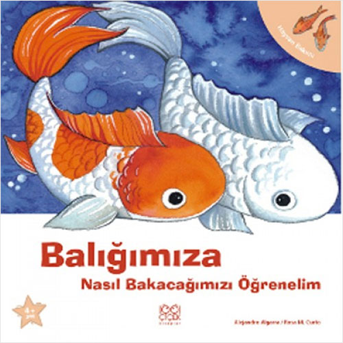 Balığımıza Nasıl Bakacağımızı Öğrenelim