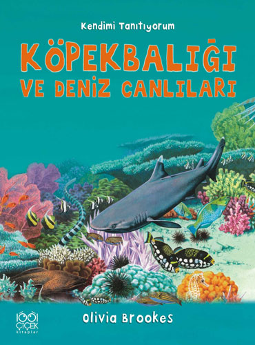 Köpekbalığı ve Deniz Canlıları