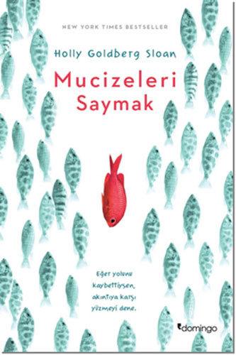 Mucizeleri Saymak