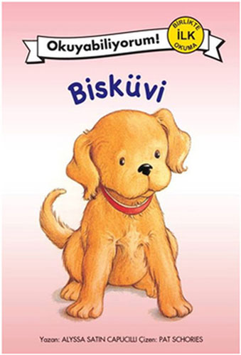 Bisküvi