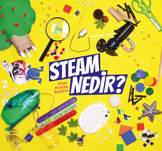 Steam Nedir?