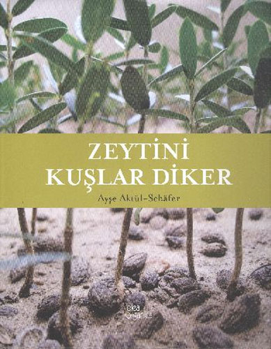 Zeytini Kuşlar Diker