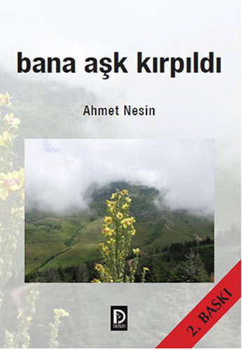 Bana Aşk Kırpıldı