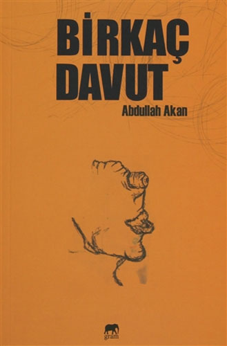 Birkaç Davut