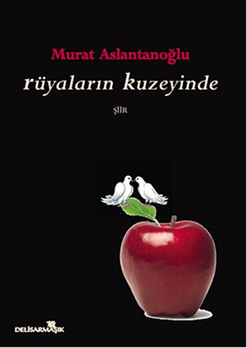 Rüyaların Kuzeyinde