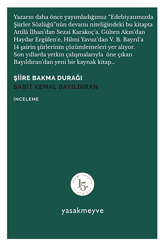 Şiire Bakma Durağı