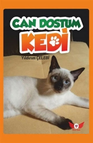 Can Dostum Kedi