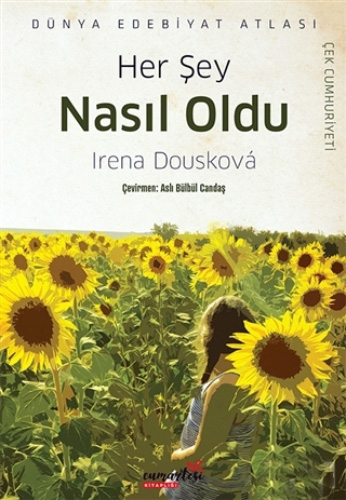 Her Şey Nasıl Oldu