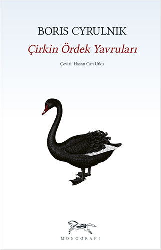 Çirkin Ördek  Yavruları