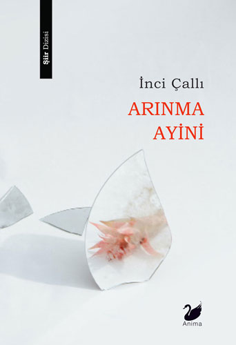 Arınma Ayini