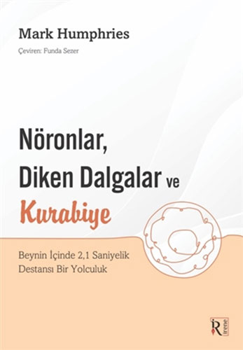 Nöronlar, Diken Dalgalar Ve Kurabiye