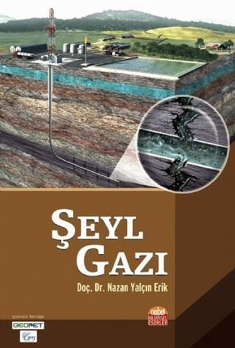 Şeyl Gazı