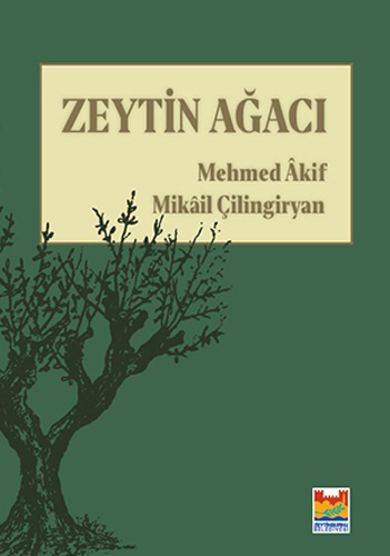 Zeytin Ağacı