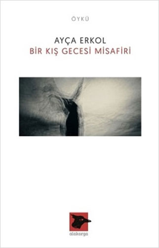 Bir Kış Gecesi Misafiri