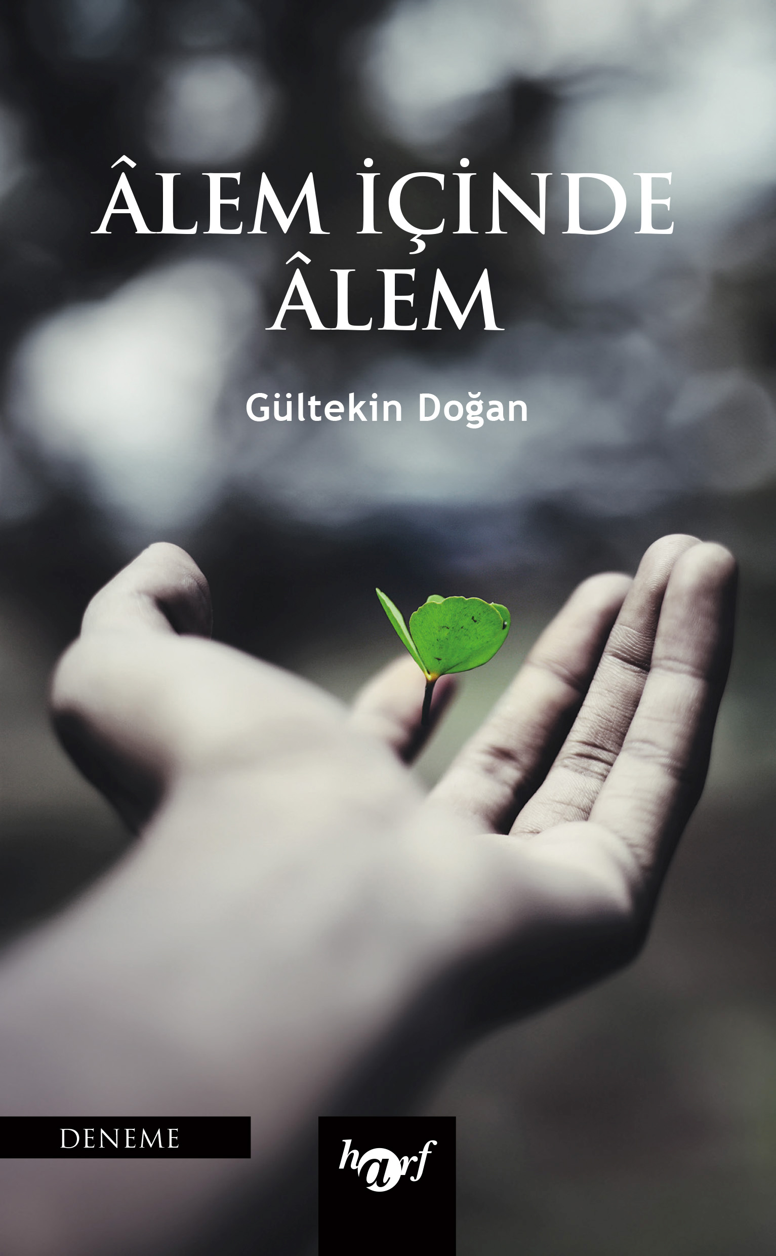 Âlem İçinde Âlem