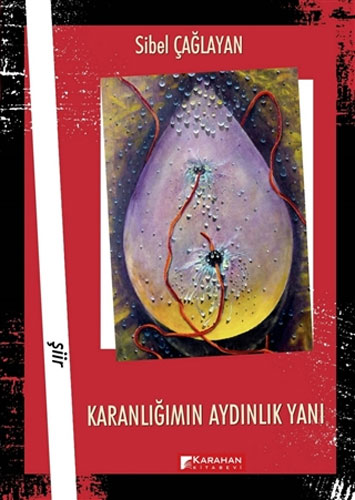 Karanlığımın Aydınlık Yanı