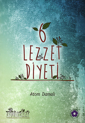 6 Lezzet Diyeti