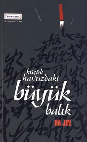 Küçük Havuzdaki Büyük Balık