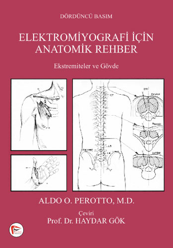 Perotto Elektromiyografi için Anatomik Rehber
