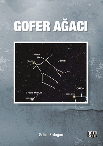 Gofer Ağacı