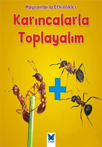 Karıncalarla Toplayalım