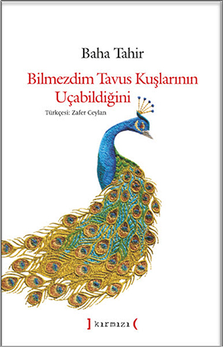 Bilmezdim Tavus Kuşlarının Uçabildiğini