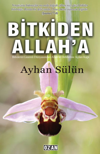 Bitkiden Allah'a