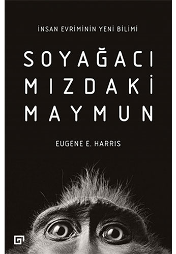 Soyağacımızdaki Maymun