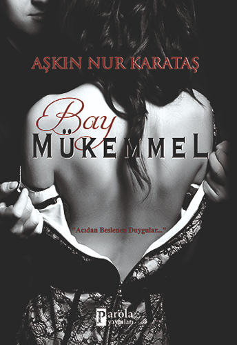 Bay Mükemmel - Mükemmel Serisi 1