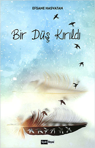 Bir Düş Kırıldı