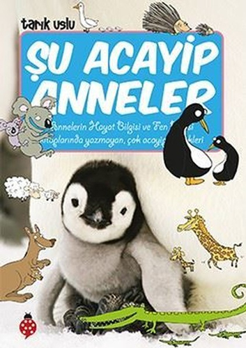 Şu Acayip Anneler