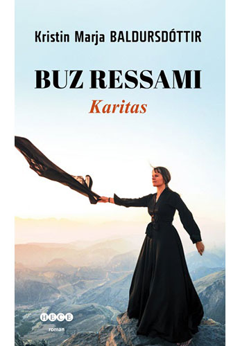 Buz Ressamı