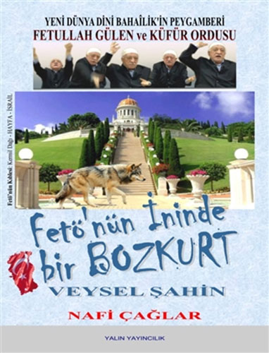 Fetö'nün İninde Bir Bozkurt: Veysel Şahin