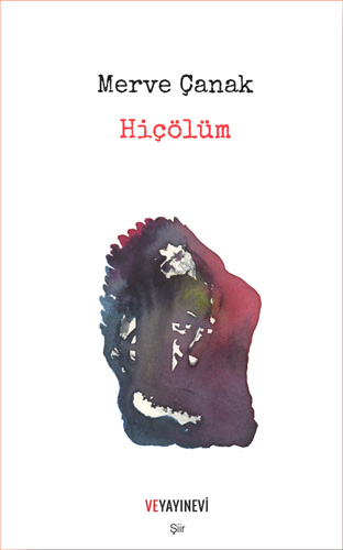 Hiçölüm