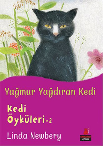 Yağmur Yağdıran Kedi