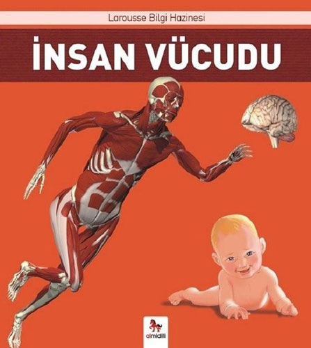 İnsan Vücudu