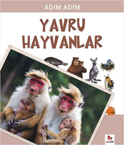 Yavru Hayvanlar