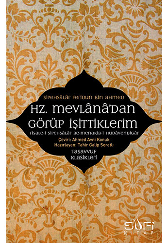 Hz. Mevlânâ'dan Görüp İşittiklerim