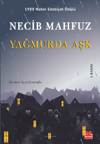 Yağmurda Aşk