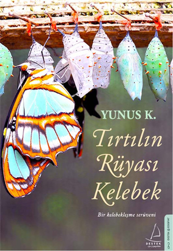 Tırtılın Rüyası Kelebek