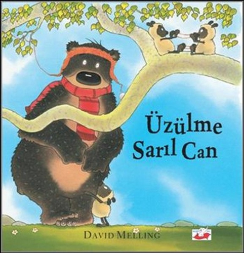 Üzülme Sarıl Can (Ciltli)