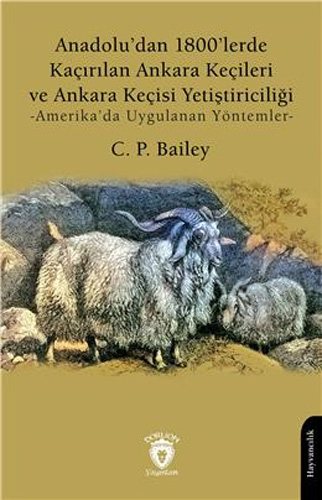 Anadolu'dan 1800’lerde Kaçırılan Ankara Keçileri ve Ankara Keçisi Yetiştiriciliği