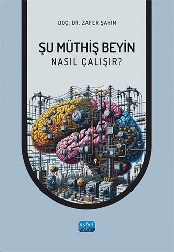 Şu Müthiş Beyin