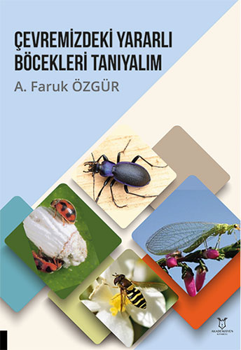 Çevremizdeki Yararlı Böcekleri Tanıyalım