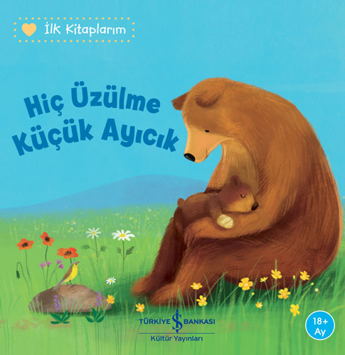 İlk Kitaplarım - Hiç Üzülme Küçük Ayıcık 