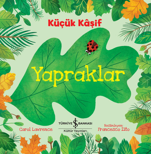 Küçük Kaşif - Yapraklar 